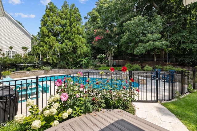 1802 Abby Knoll Dr, Apex, NC 27502 - view of swimming pool featuring view of scattered trees
