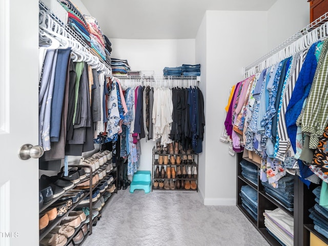 1650 Singing Bird Trl, Wake Forest, NC 27587 - spacious closet featuring carpet floors