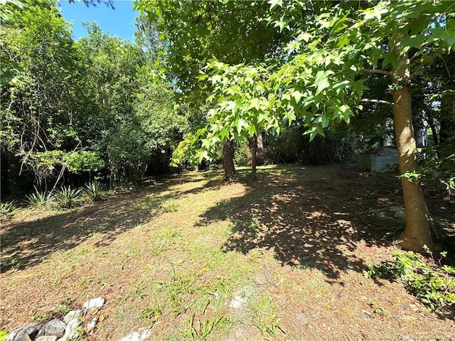 304 S Patterson St, Maxton, NC 28364 - photo 21