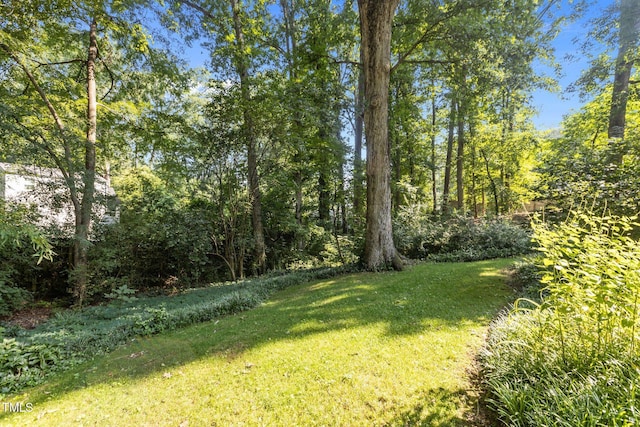 2706 Stuart Dr, Durham, NC 27707 - view of green lawn