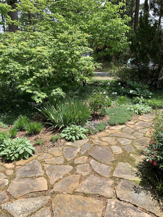 2706 Stuart Dr, Durham, NC 27707 - view of yard