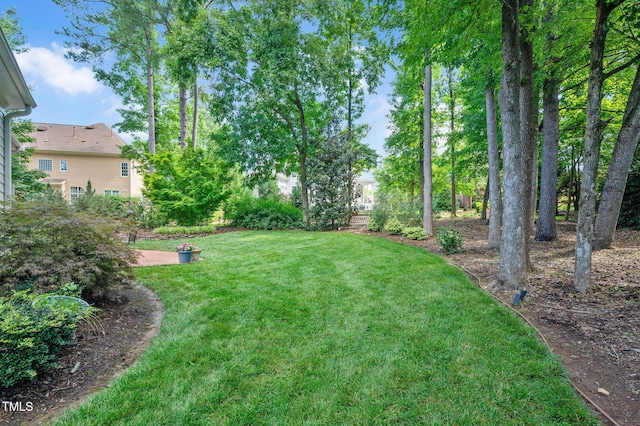 12452 Richmond Run Dr, Raleigh, NC 27614 - view of grassy yard
