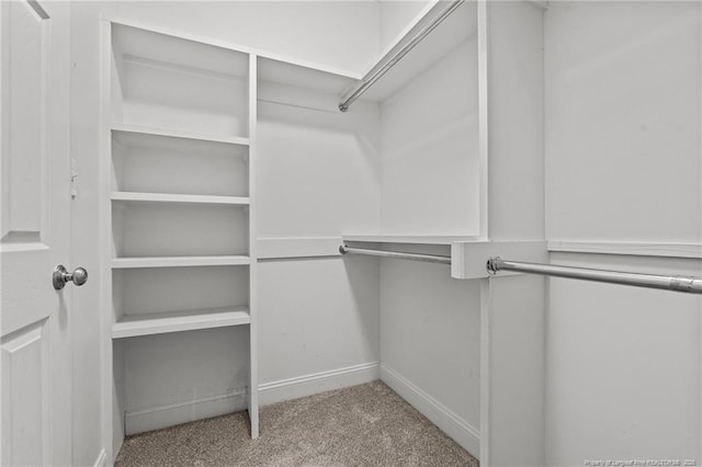 85 Shining Water Ln, Spring Lake, NC 28390 - walk in closet featuring carpet floors