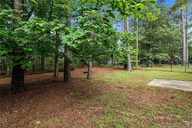 85 Shining Water Ln, Spring Lake, NC 28390 - view of yard