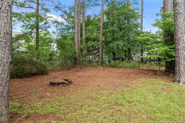85 Shining Water Ln, Spring Lake, NC 28390 - view of yard