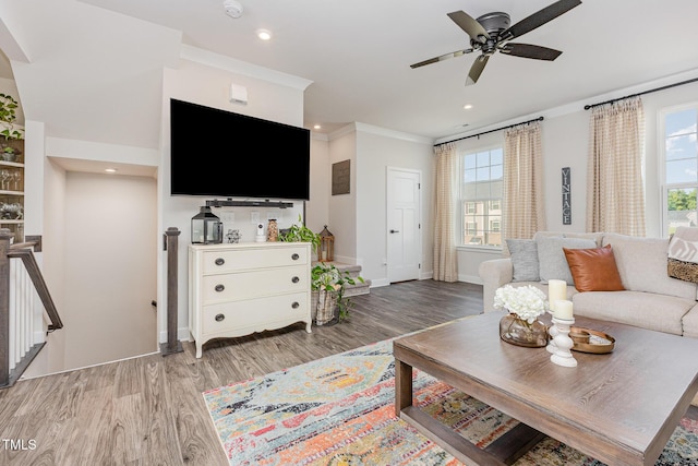 235 Misty Pike Dr, Raleigh, NC 27603 - living room with wood finished floors, healthy amount of natural light, ceiling fan, ornamental molding, and recessed lighting