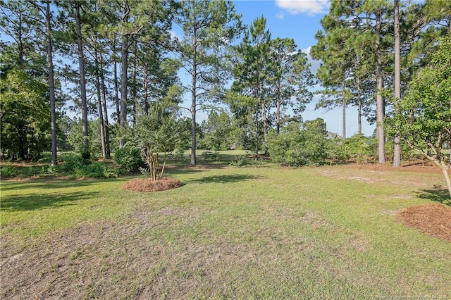 613 Williwood Rd, Fayetteville, NC 28311 - photo 40