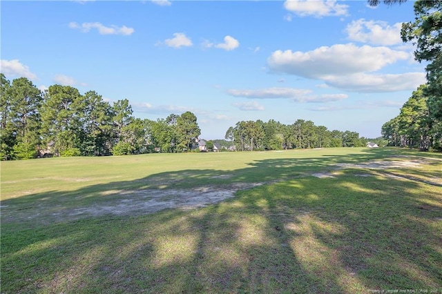 613 Williwood Rd, Fayetteville, NC 28311 - photo 41