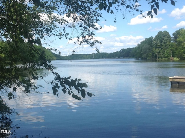 9961 Lakeside Ter, Bullock, NC 27507