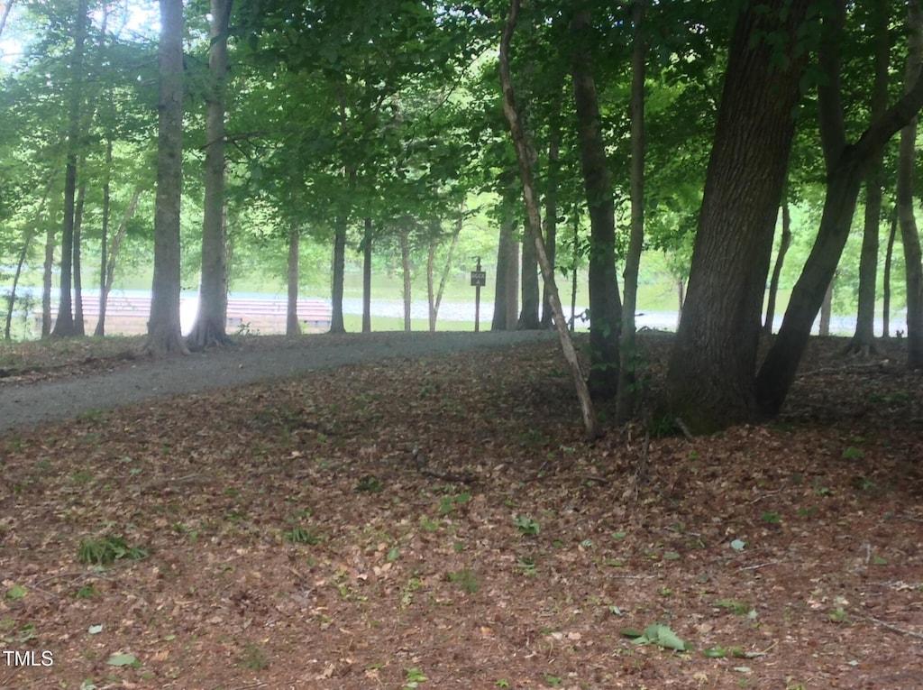 9961 Lakeside Ter, Bullock, NC 27507