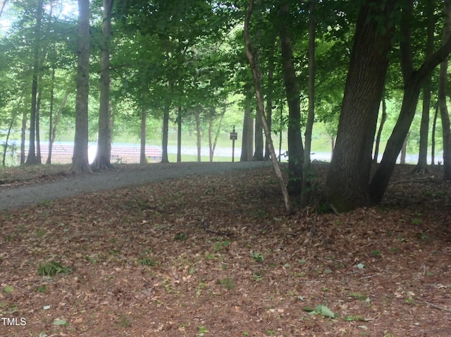 9961 Lakeside Ter, Bullock, NC 27507