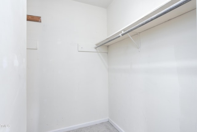3542 Anderson Valley Rd, Mcleansville, NC 27301 - walk in closet featuring carpet floors