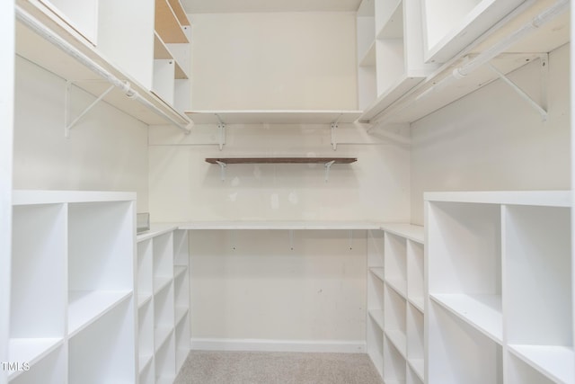 3542 Anderson Valley Rd, Mcleansville, NC 27301 - view of spacious closet