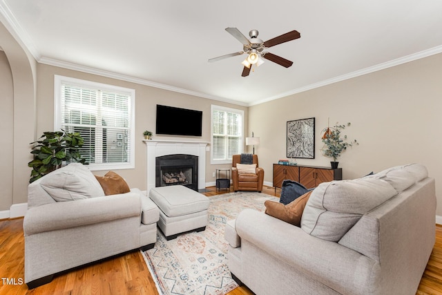 324 Bendemeer Ln, Rolesville, NC 27571 - photo 11