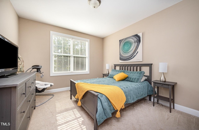 324 Bendemeer Ln, Rolesville, NC 27571 - photo 28
