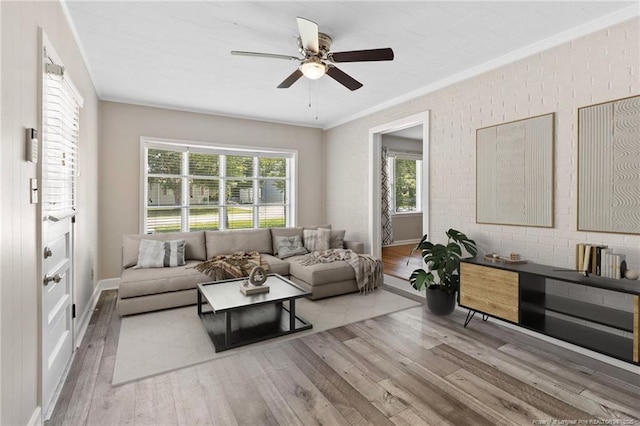 3810 David St, Fayetteville, NC 28304 - living room with ornamental molding, wood finished floors, and ceiling fan