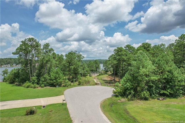 226 Clearview Ct, Sanford, NC 27332 - photo 11