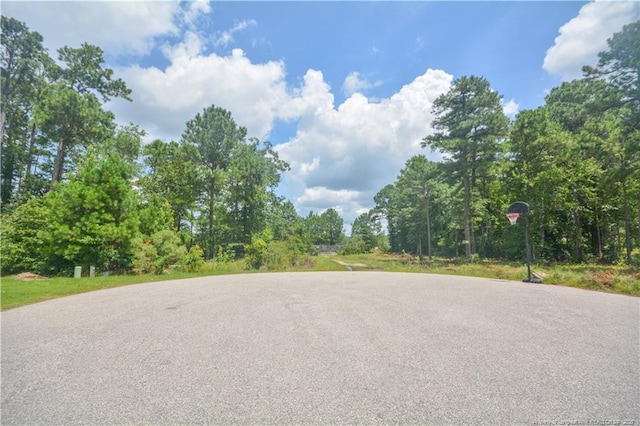 226 Clearview Ct, Sanford, NC 27332 - photo 12