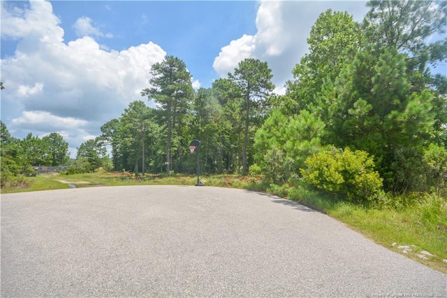 226 Clearview Ct, Sanford, NC 27332 - photo 13