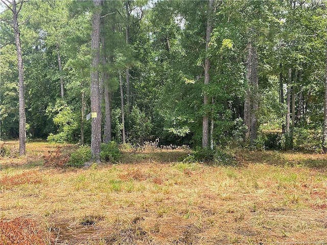 233 Clearview Ct, Sanford, NC 27332 - photo 5