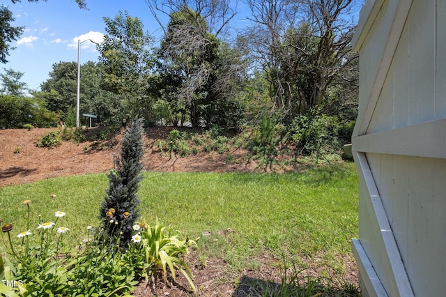 116 Saint Andrews Ln, Chapel Hill, NC 27517 - view of green lawn