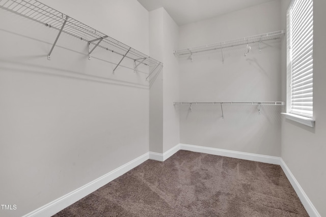 917 Avalon Dr, Mebane, NC 27302 - photo 23