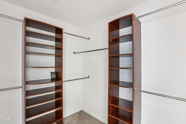 1212 Southgate Dr, Raleigh, NC 27610 - view of spacious closet