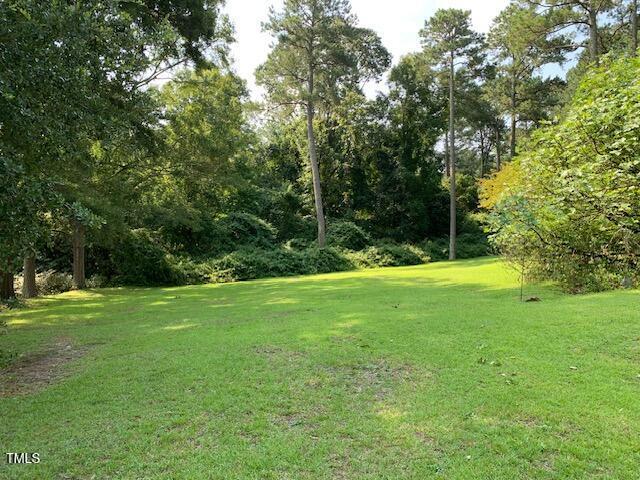 1003 Summerville Mamers Rd, Lillington, NC 27546 - view of grassy yard