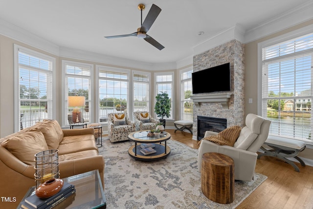 12510 Megan Hill Ct, Raleigh, NC 27614 - living area featuring a ceiling fan, a fireplace, ornamental molding, and wood finished floors