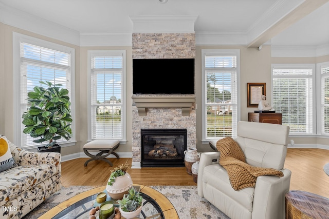 12510 Megan Hill Ct, Raleigh, NC 27614 - living room featuring a stone fireplace, healthy amount of natural light, wood finished floors, and ornamental molding