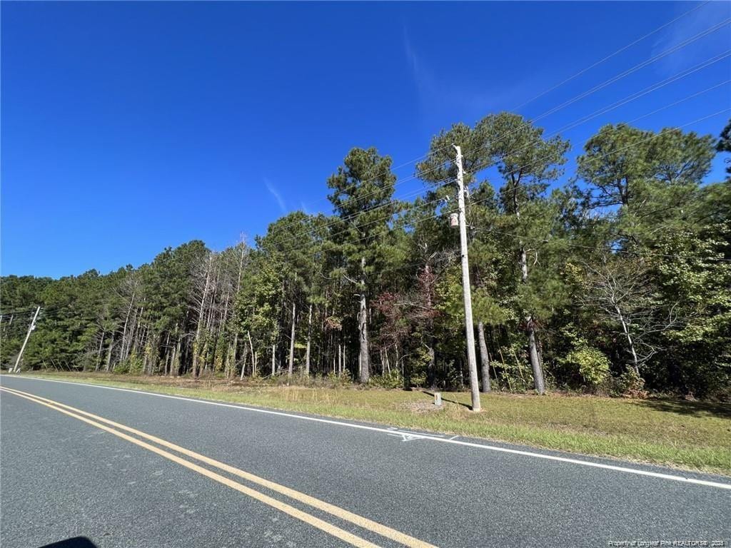 E Powersville Rd, Lumberton, NC 28358 - photo 3