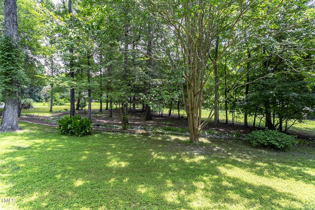 709 Lake Winds Trl, Rougemont, NC 27572 - photo 30