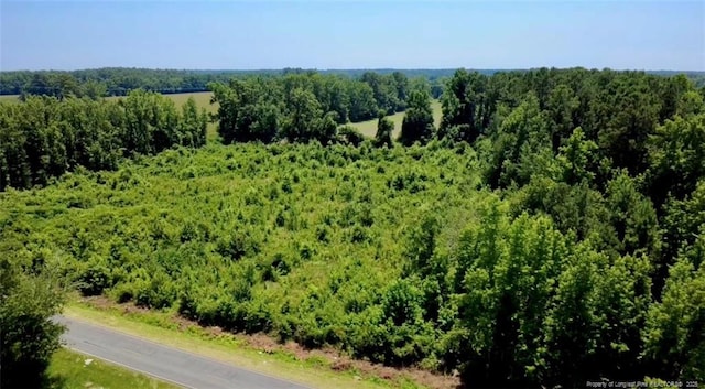 Rowan Rd, Lumberton, NC 28358 - photo 4