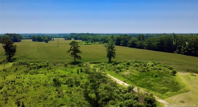 Rowan Rd, Lumberton, NC 28358 - photo 10