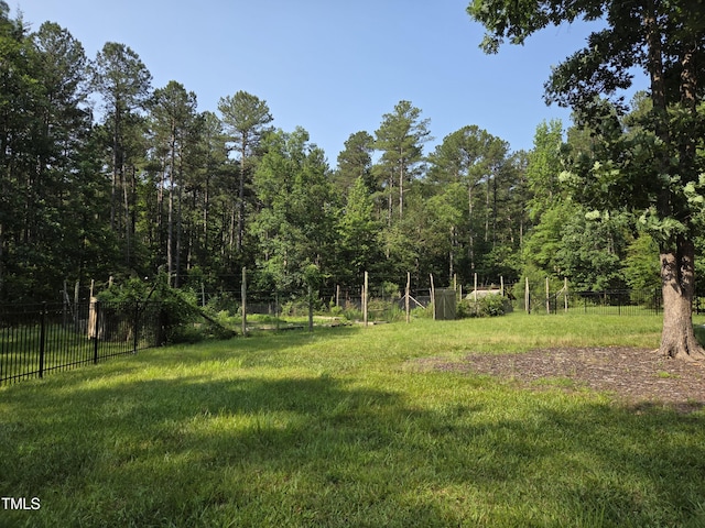7815 Dodsons Crossroads, Hillsborough, NC 27278 - view of yard
