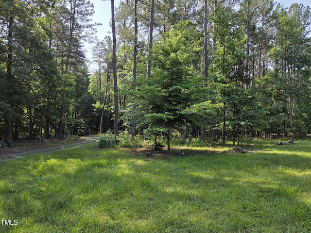 7815 Dodsons Crossroads, Hillsborough, NC 27278 - view of yard with a wooded view