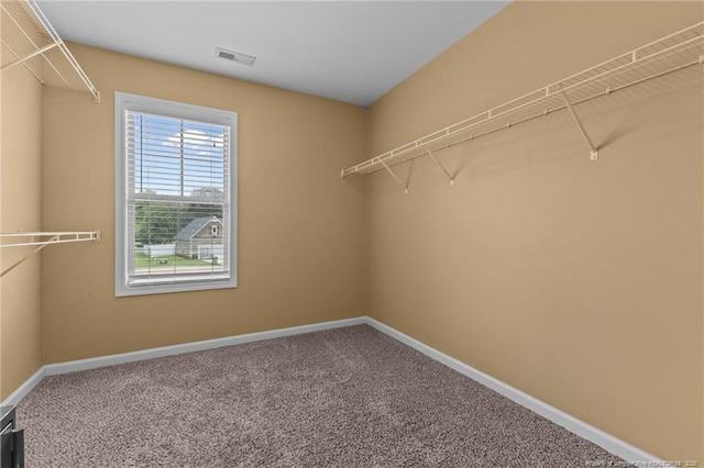 6204 Yorkie Ct, Stedman, NC 28391 - spacious closet featuring carpet flooring