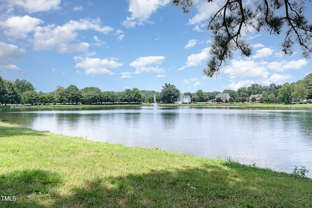 5030 Homeplace Dr, Apex, NC 27539 - water view