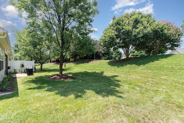 5030 Homeplace Dr, Apex, NC 27539 - view of yard