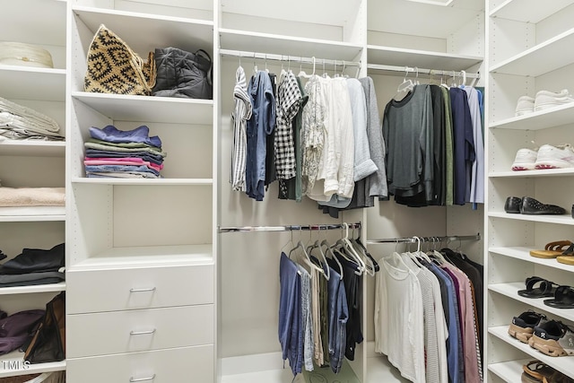 669 Fallon Grove Way, Raleigh, NC 27608 - view of walk in closet