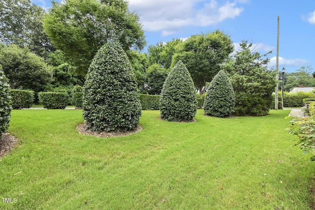 669 Fallon Grove Way, Raleigh, NC 27608 - view of grassy yard