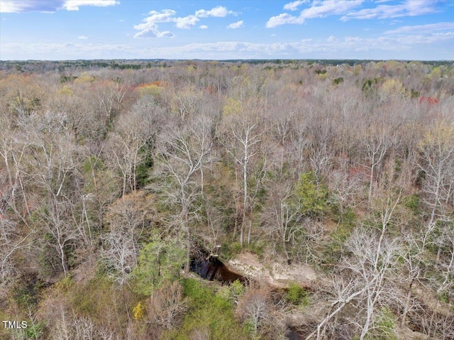 0 Warner Bridge Rd, Garysburg, NC 27831 - photo 8