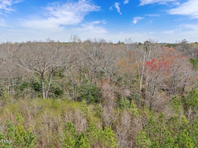 0 Warner Bridge Rd, Garysburg, NC 27831 - photo 9