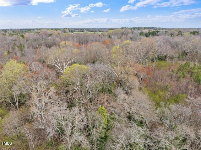 0 Warner Bridge Rd, Garysburg, NC 27831 - photo 10
