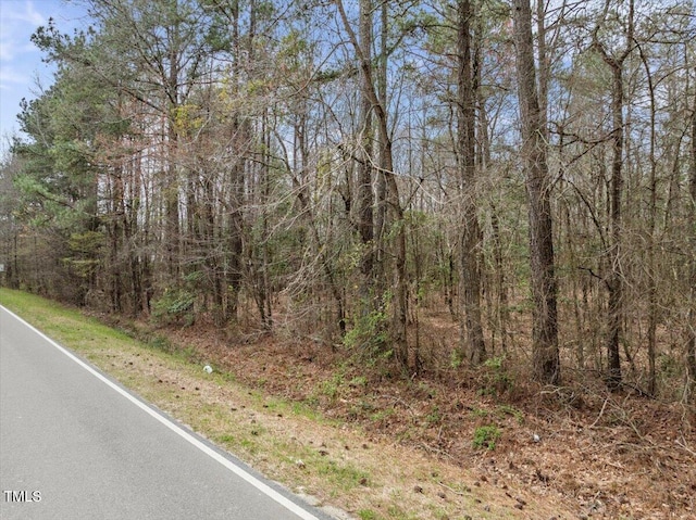 0 Warner Bridge Rd, Garysburg, NC 27831 - photo 14