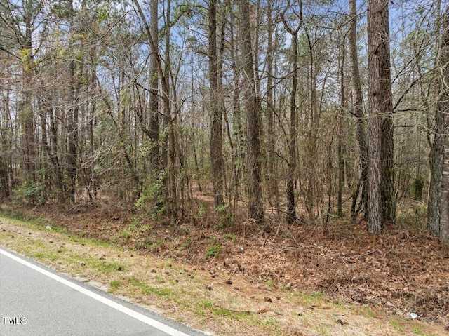 0 Warner Bridge Rd, Garysburg, NC 27831 - photo 15