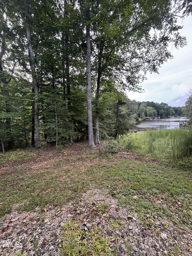 1119 Sagamore Dr, Louisburg, NC 27549 - view of yard featuring a water view and a view of trees