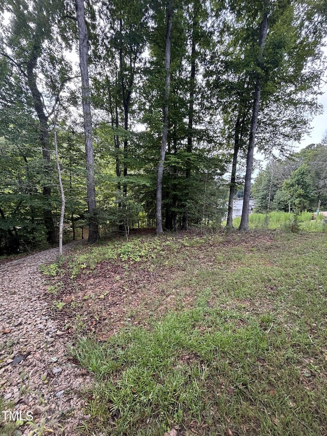 1119 Sagamore Dr, Louisburg, NC 27549 - view of yard