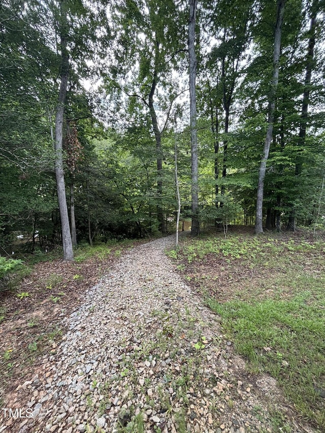 1119 Sagamore Dr, Louisburg, NC 27549 - view of road featuring a forest view