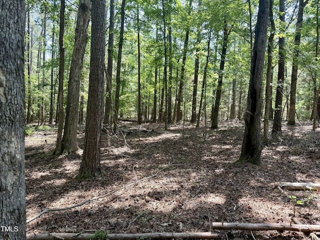 LOT19 New Hope Dr, Chapel Hill, NC 27514